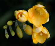 small size pics.04..jpg