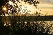 8th Sept 2013-2 071.jpg
