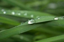 drops2_zps595aa629.jpg drops2_zps595aa629.jpg