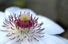 white2_zps52df1eaa.jpg white2_zps52df1eaa.jpg