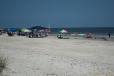 DSC_3354.jpg DSC_3354.jpg