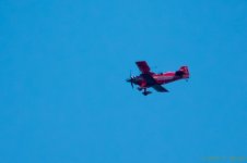 DSC_3365.jpg DSC_3365.jpg