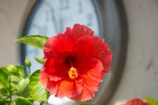 DSC_3446.jpg