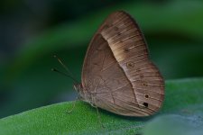 DSC_2436.jpg