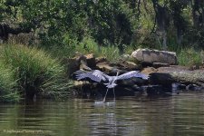 DSC_5628.jpg