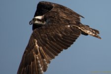 DSC_3539.jpg
