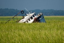 DSC_3702.jpg