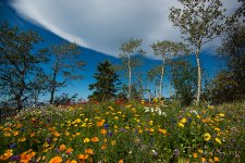 DSC_6406.jpg