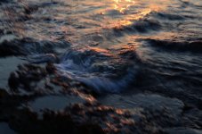 DSC_2489.JPG
