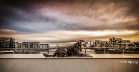 balder_4491-2_web.jpg