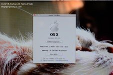 253 16GB RAM-130910-02_01.jpg