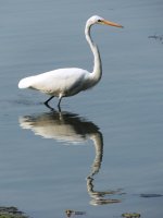 DSCN9058.jpg