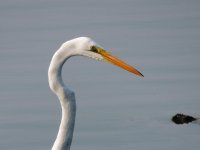DSCN9063.jpg