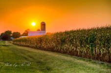 20130910-_1RB9858_59_60_61.jpg