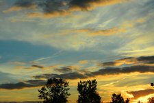 DSC_0999.JPG