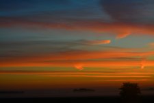 DSC_1006.JPG