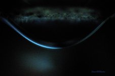 Waterdrop - WM.jpg
