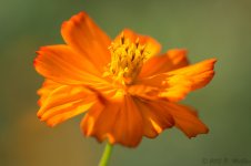 DSC_3831.jpg
