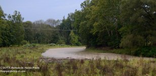 253 Choconut Creek-130911_01.jpg