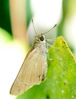Macro's-5.jpg