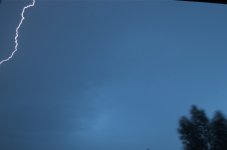 NIK_3110.jpg