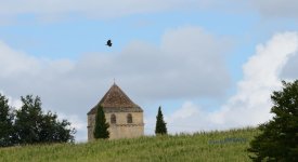 Chapel with bird of pray - WM.jpg