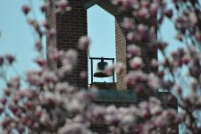 DSC_0117resize.jpg