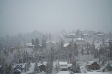 Snow scene-2.jpg