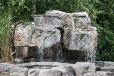 DSC_3911.jpg