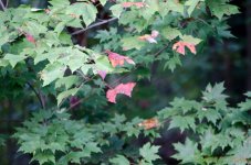 DSC_8877.jpg