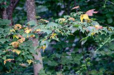 DSC_8879.jpg
