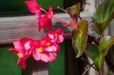 DSC_8882.jpg