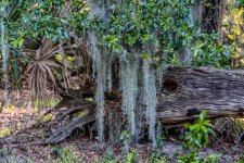DSC_3697-Edit.jpg