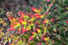 14th Sept 2013-2 008_019.jpg