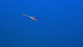 15th Sept 2013-2 022_033.jpg