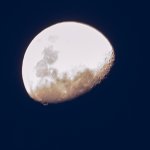 Moon.jpg