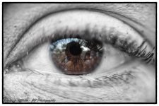 Eye See You Small.jpg