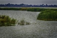 Wetlands3.jpg