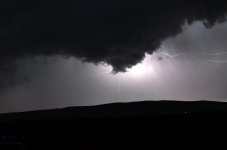 5100 L 019.jpg
