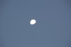 nikonmoon.jpg