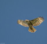 074_zps295fd048.jpg