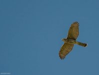 007-2_zps627be2d3.jpg