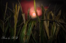 20130917-_1RB9999.jpg