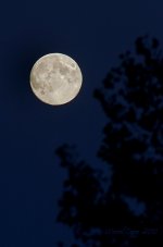 Hunter's moon.jpg