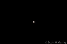 SHM_1484-2.jpg