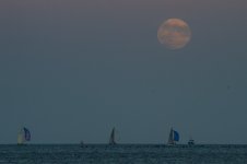 DSC_0020.jpg
