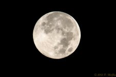 DSC_8903.jpg