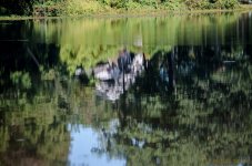 DSC_8916.jpg