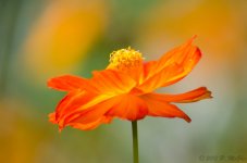 DSC_8925.jpg