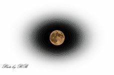 20130919-_1RB0031.jpg